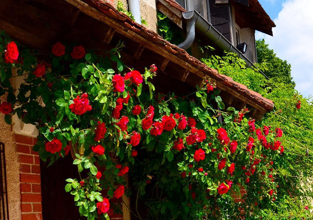 Auberge La Croix Blanche Combreux Eksteriør bilde